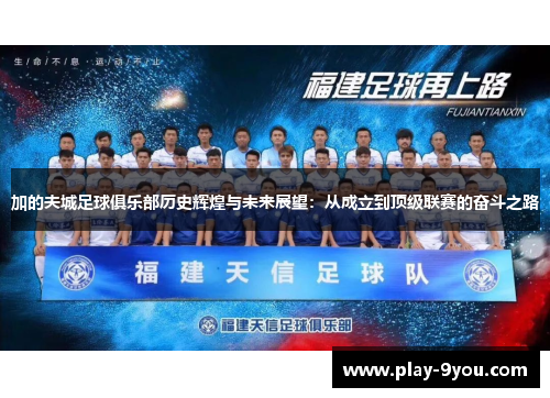 加的夫城足球俱乐部历史辉煌与未来展望：从成立到顶级联赛的奋斗之路