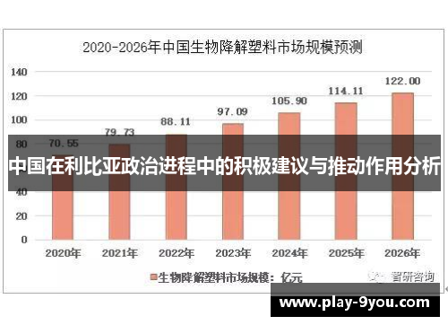 中国在利比亚政治进程中的积极建议与推动作用分析