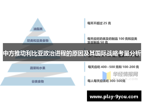 中方推动利比亚政治进程的原因及其国际战略考量分析