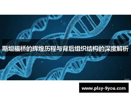 斯坦福桥的辉煌历程与背后组织结构的深度解析
