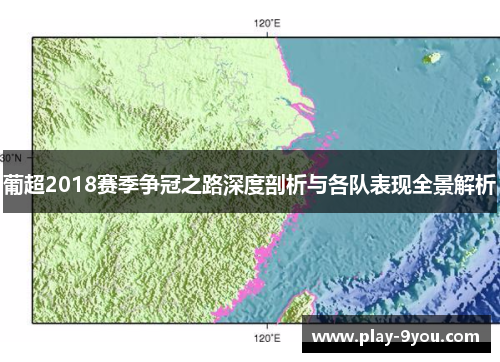 葡超2018赛季争冠之路深度剖析与各队表现全景解析